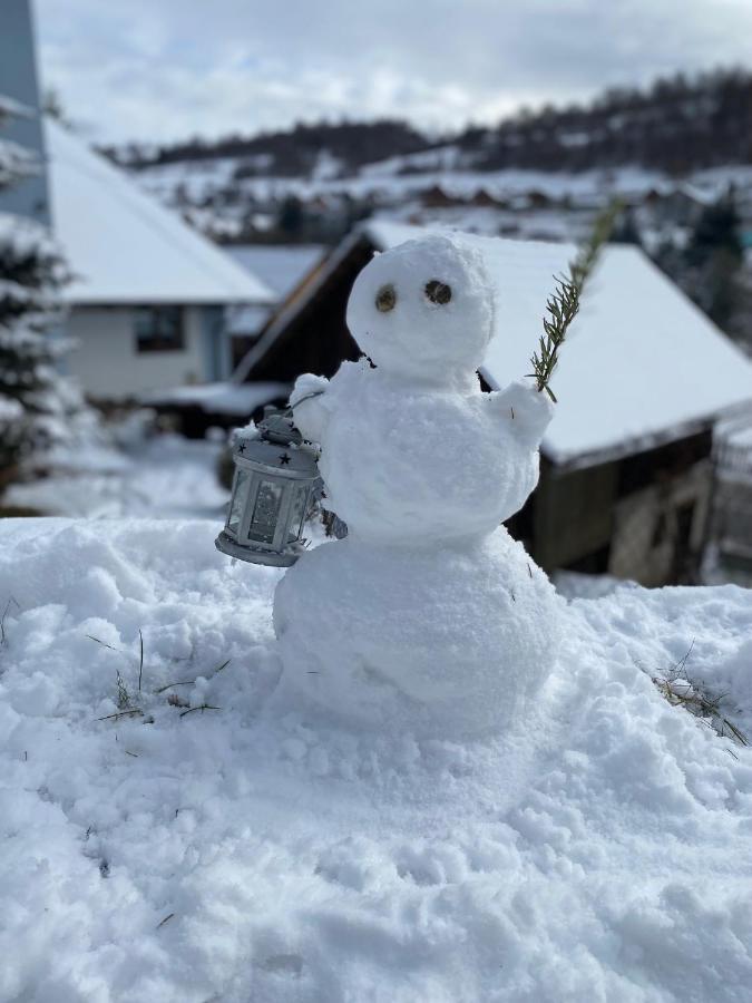 Domcek V Strani Villa Mýto pod Ďumbierom Kültér fotó